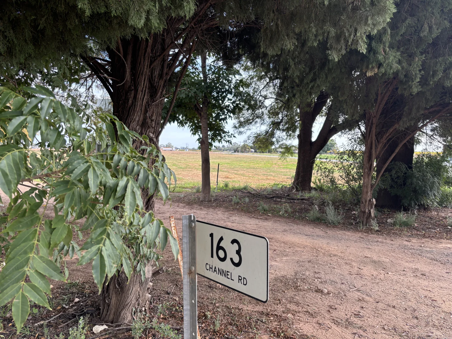 Image 14