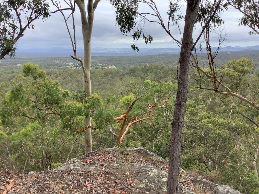 311 Penderests Road, Murphys Creek QLD 4352 House for Sale Domain