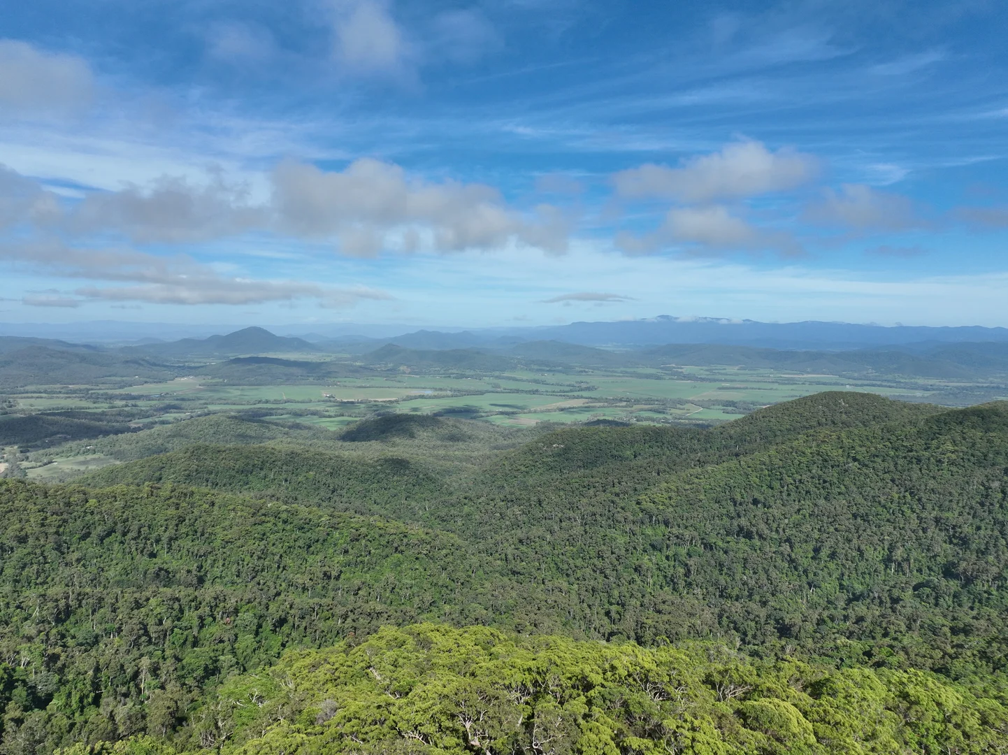 Image 13