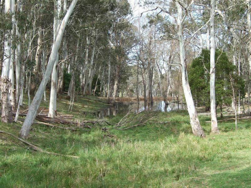 23 Sheepstation Forest Road, Gingkin NSW 2787, Image 0
