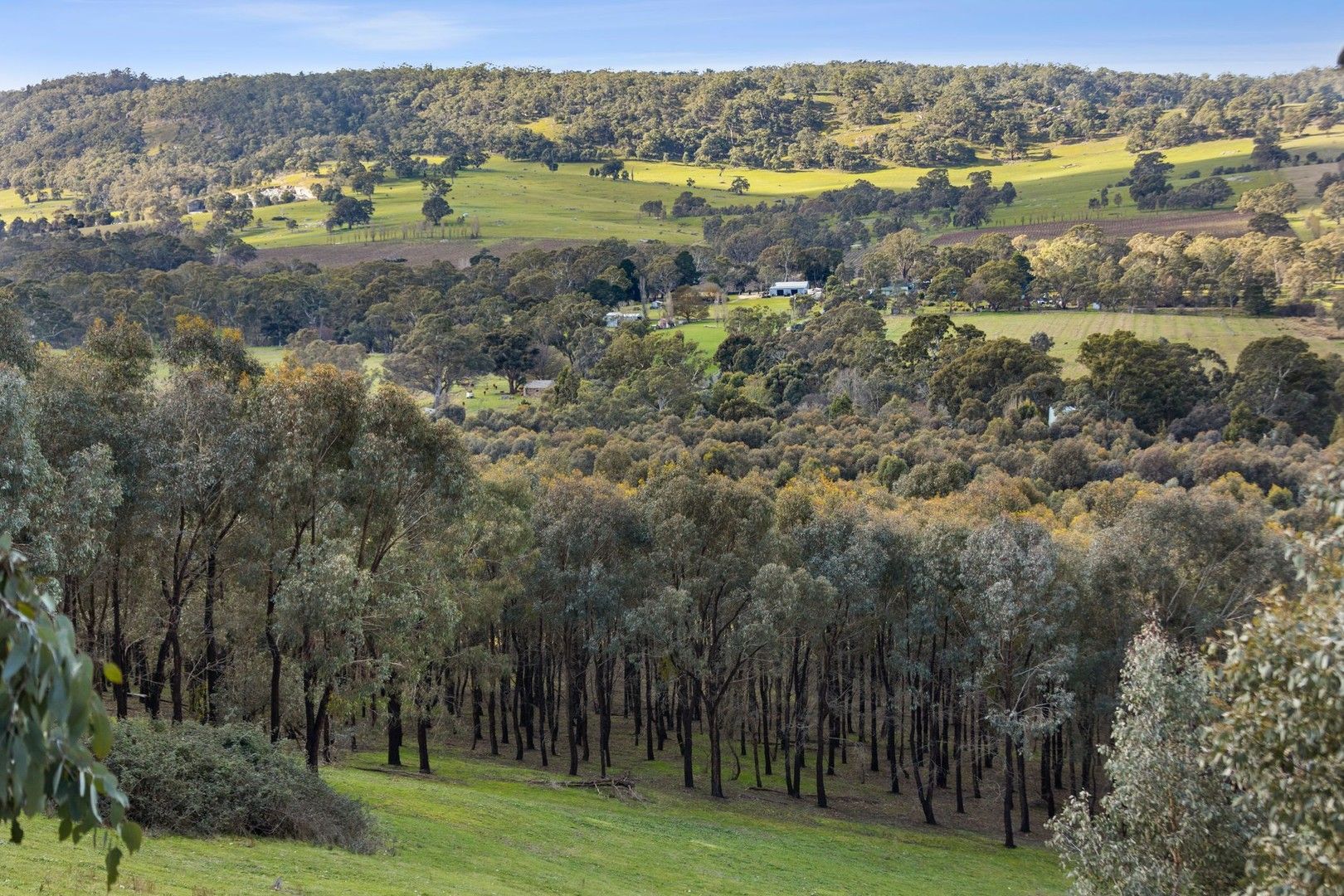 600 Specimen Gully Road, Faraday VIC 3451, Image 0