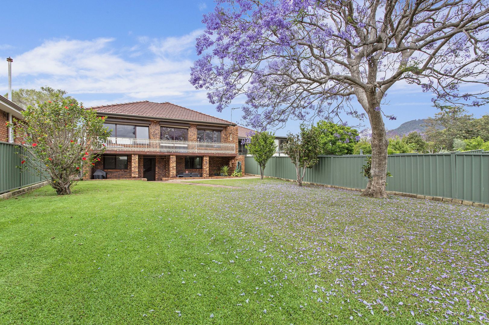 16 Helen Brae Avenue, Fairy Meadow NSW 2519, Image 1