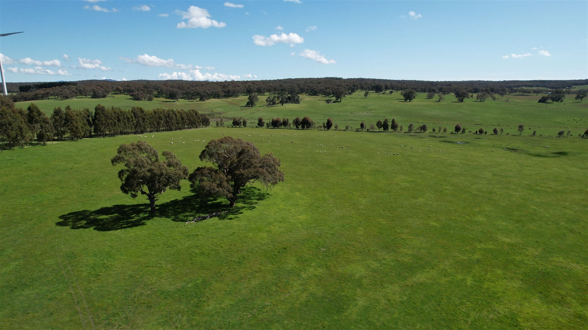 . Skipton Road, Beaufort VIC 3373 Farm for Sale 3,000,000