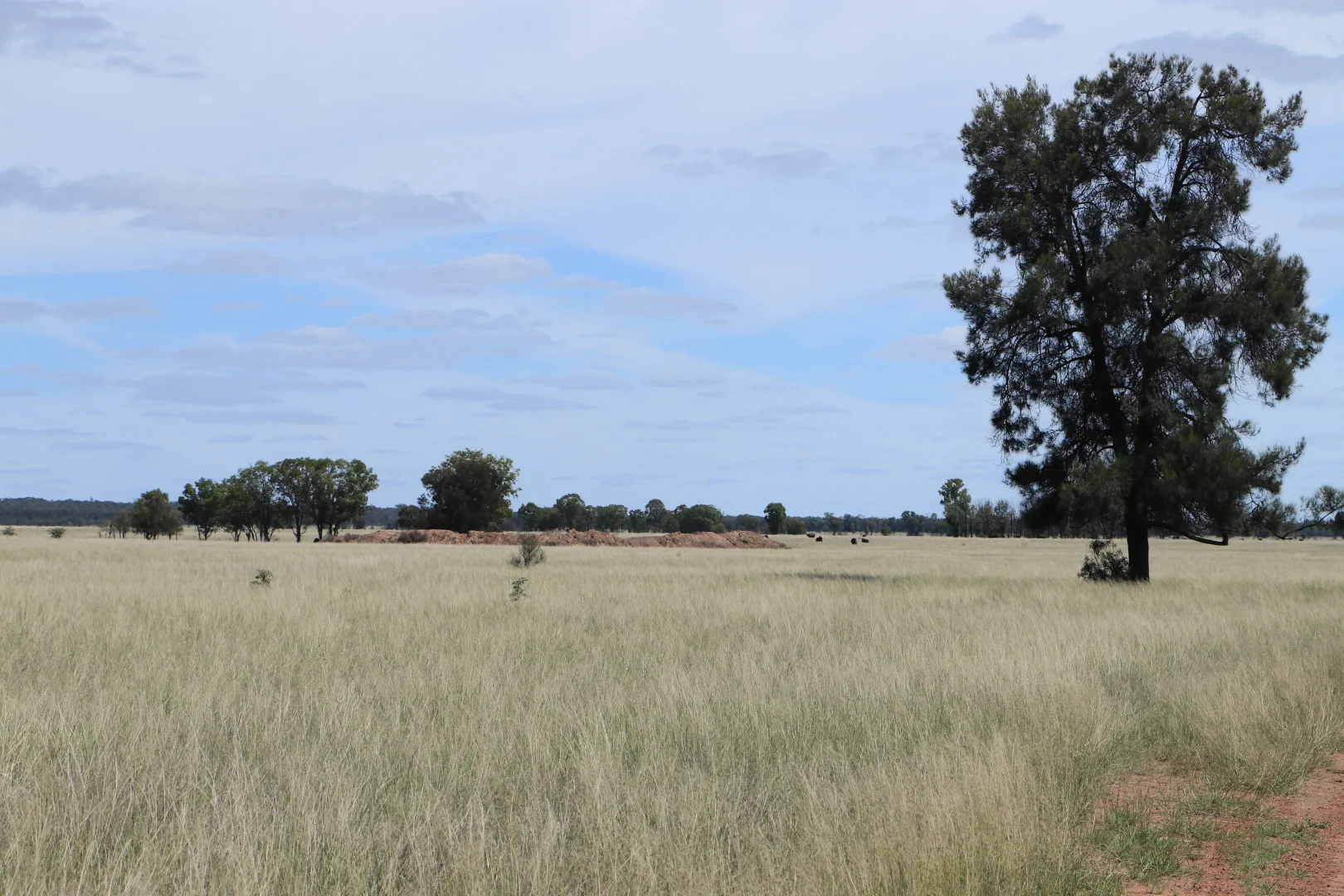 Additional image 10 of 952 Yuleba Surat Road, Yuleba QLD 4427