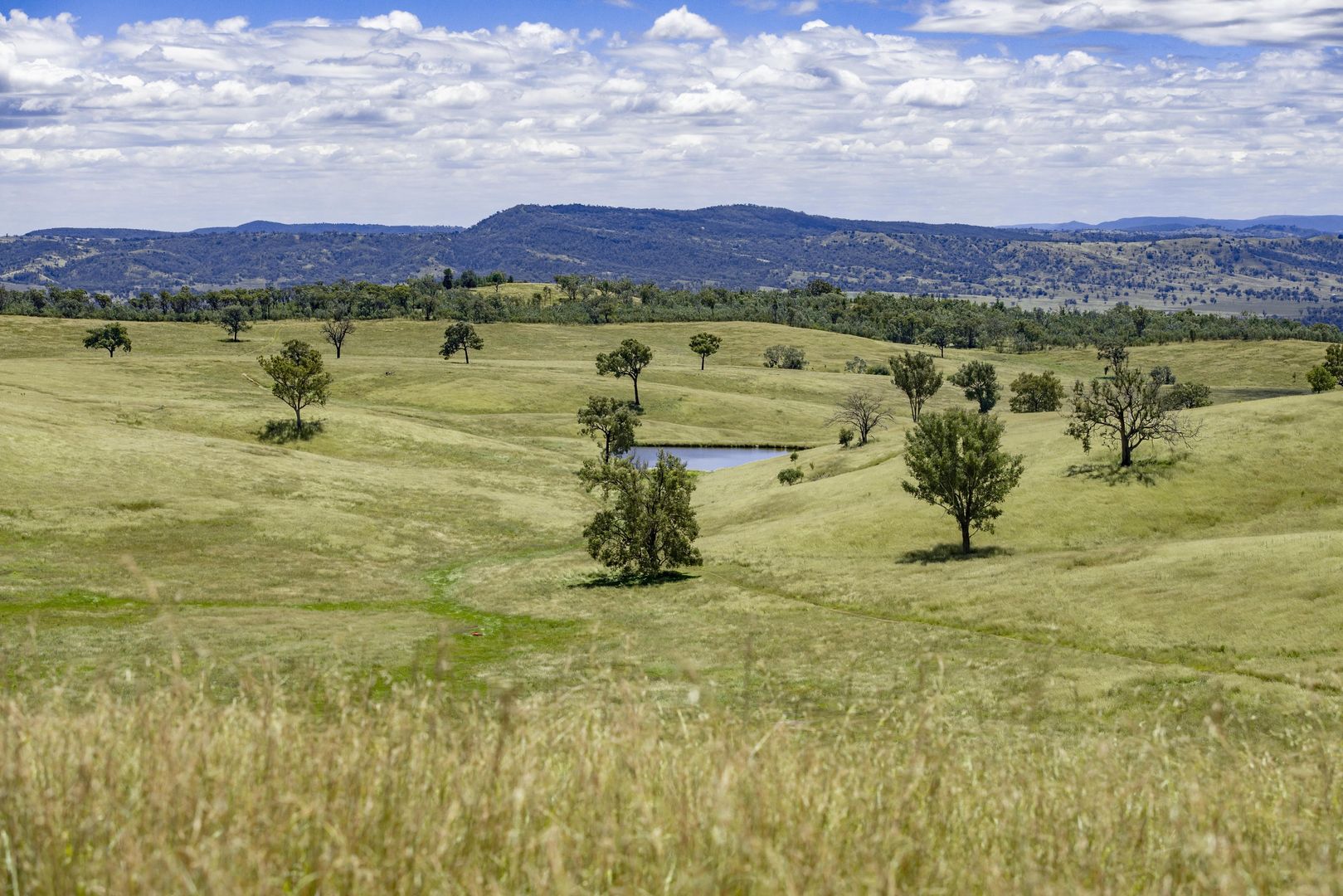 1128 Back Creek road, Upper Horton NSW 2347, Image 2