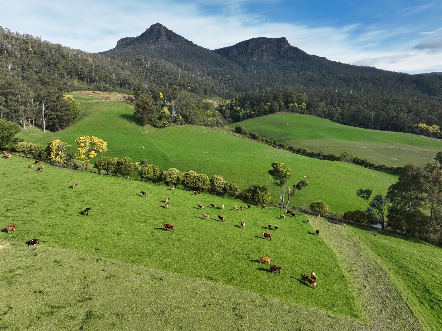 158 Lees Road, Western Creek TAS 7304, Image 1