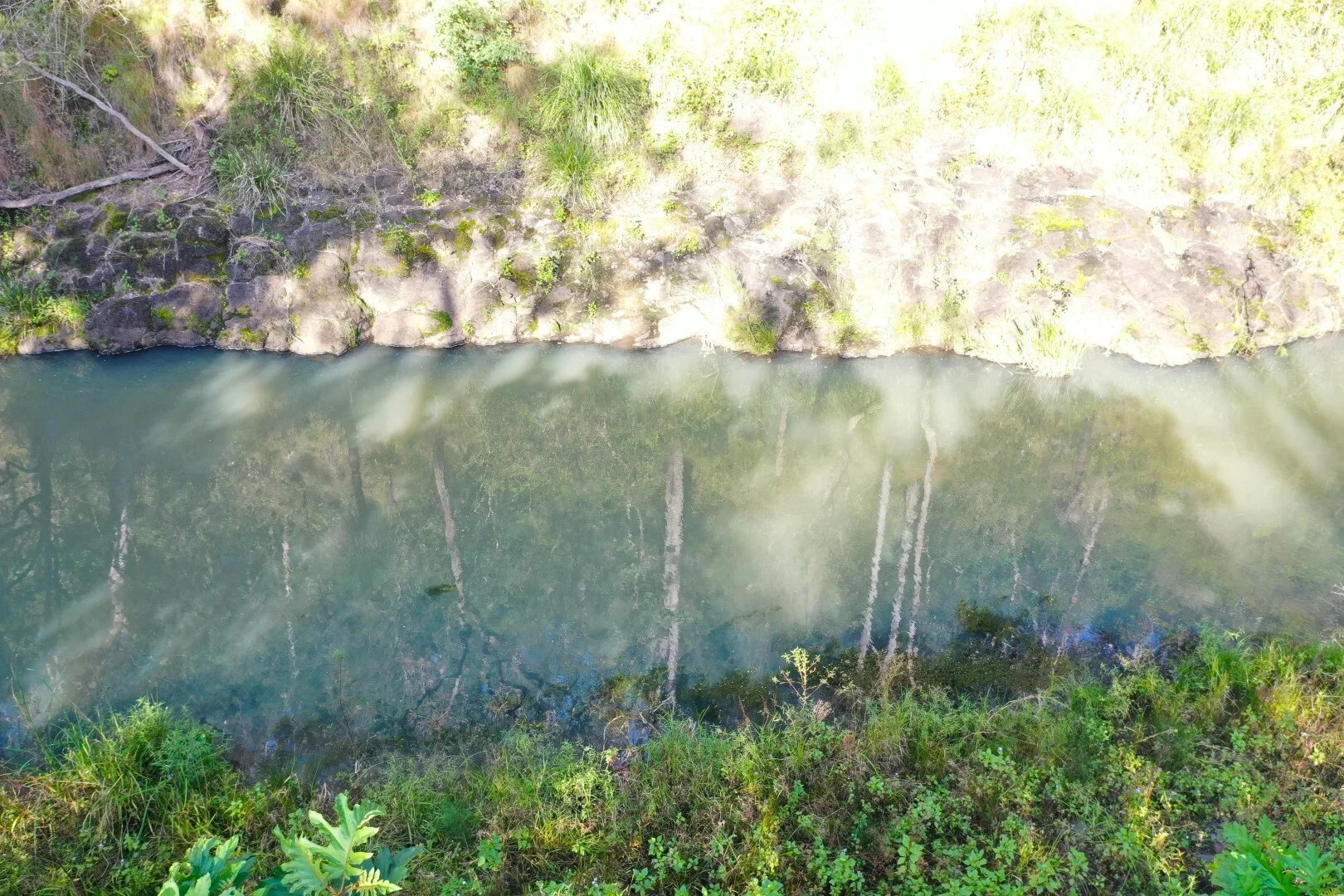 Image 16