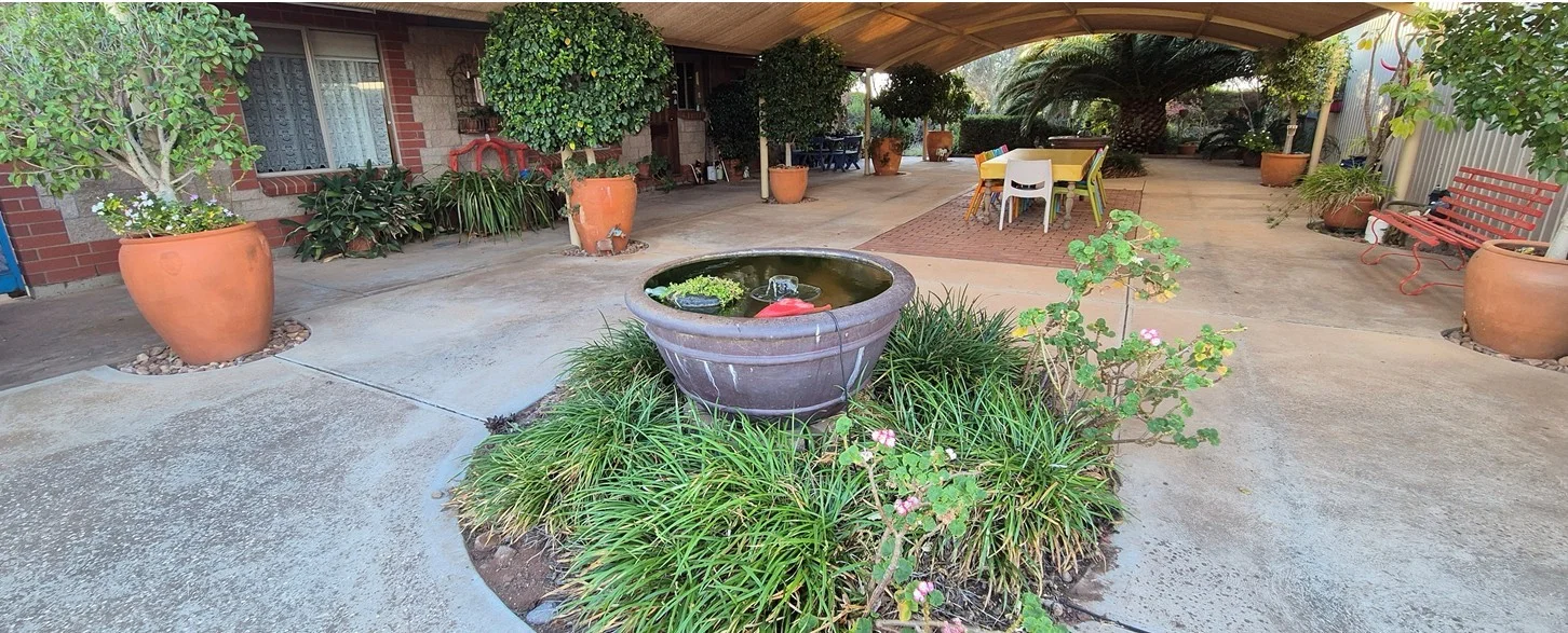 Image 19
