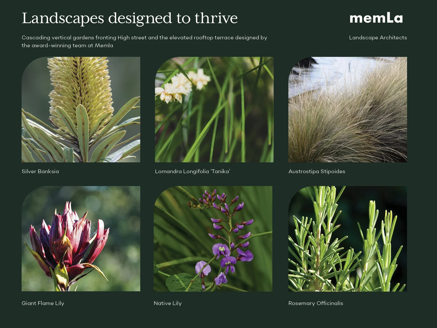 Additional image 11 of 202/36-46 High Street, Preston VIC 3072