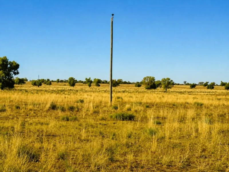 Image 10
