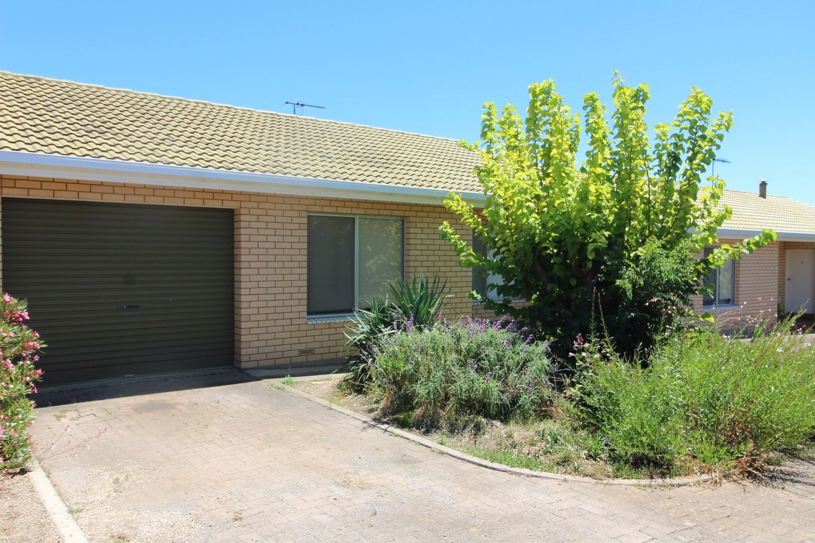 2 bedrooms Apartment / Unit / Flat in 5/152 Main Road MCLAREN VALE SA, 5171