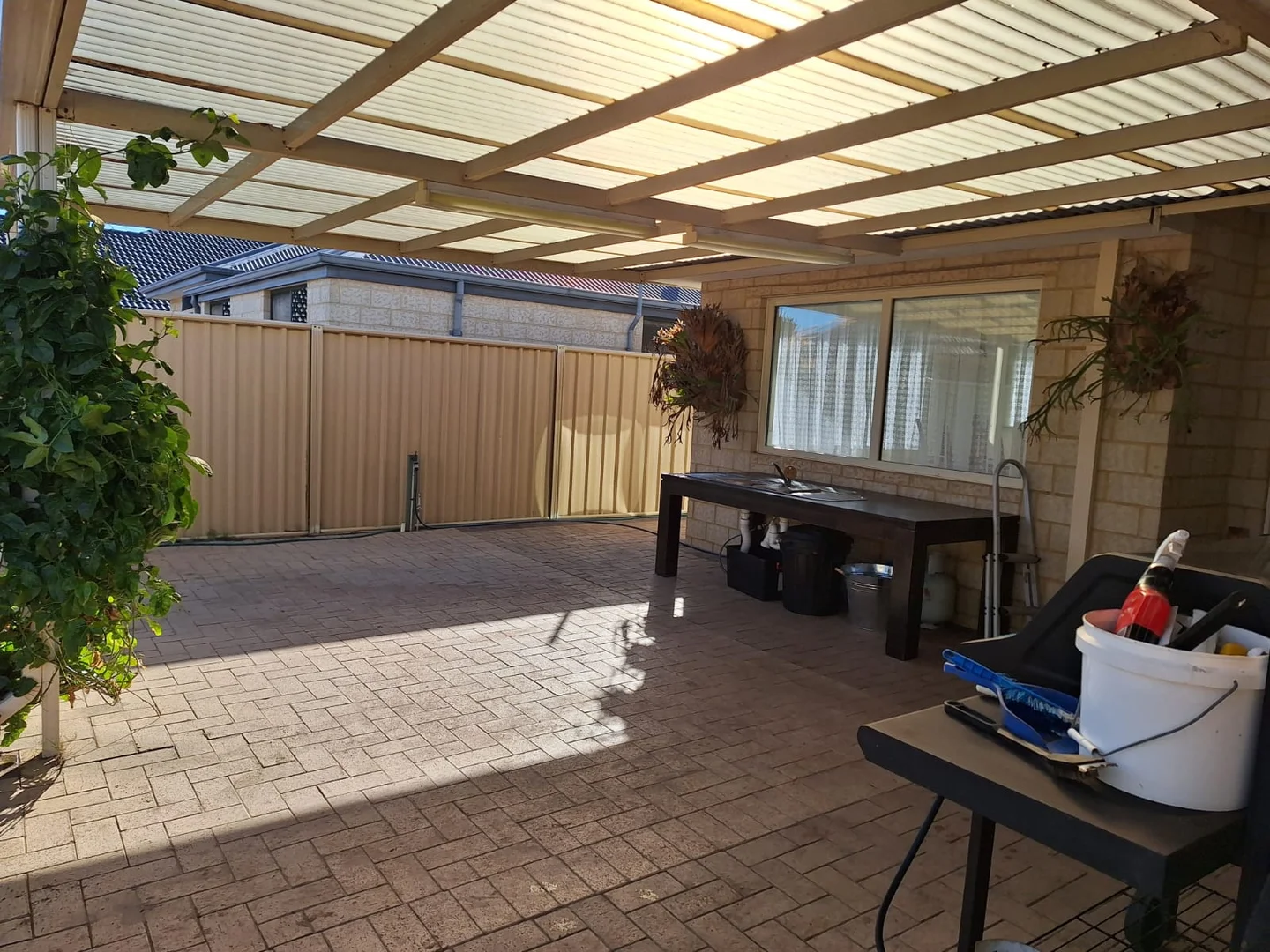 Image 22
