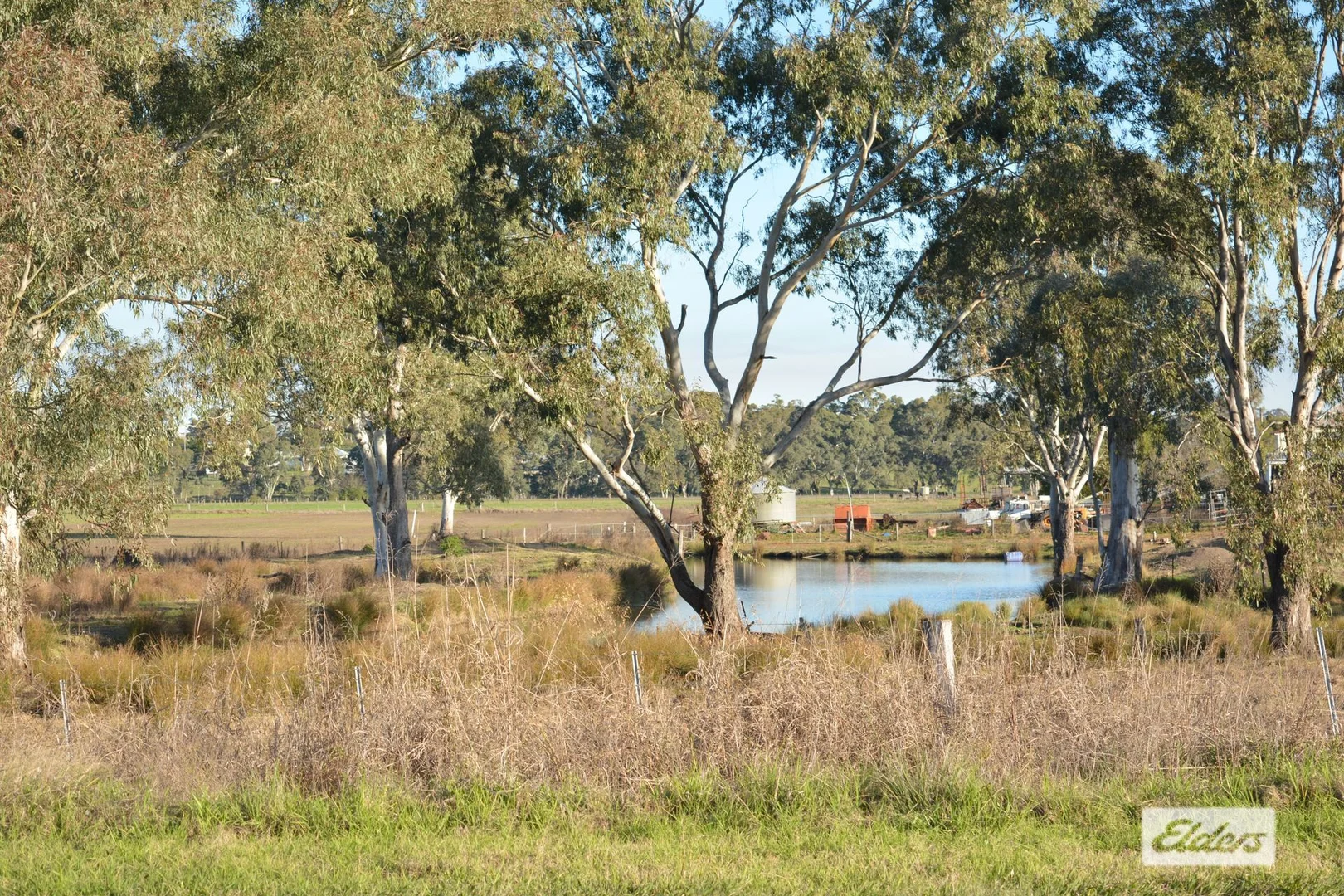 Image 19
