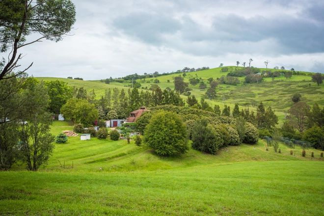 Picture of 930 Snowy Mountains Highway, NUMBUGGA NSW 2550