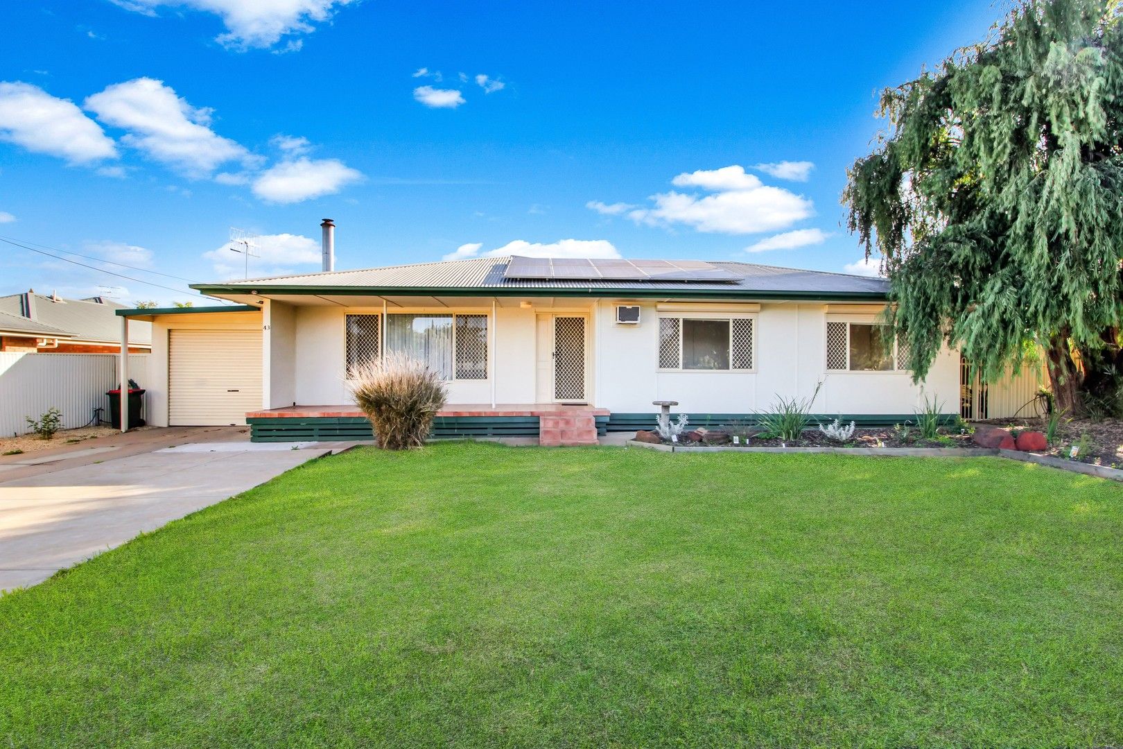 43 Zante Road, Berri SA 5343 - House For Rent - $460 | Domain