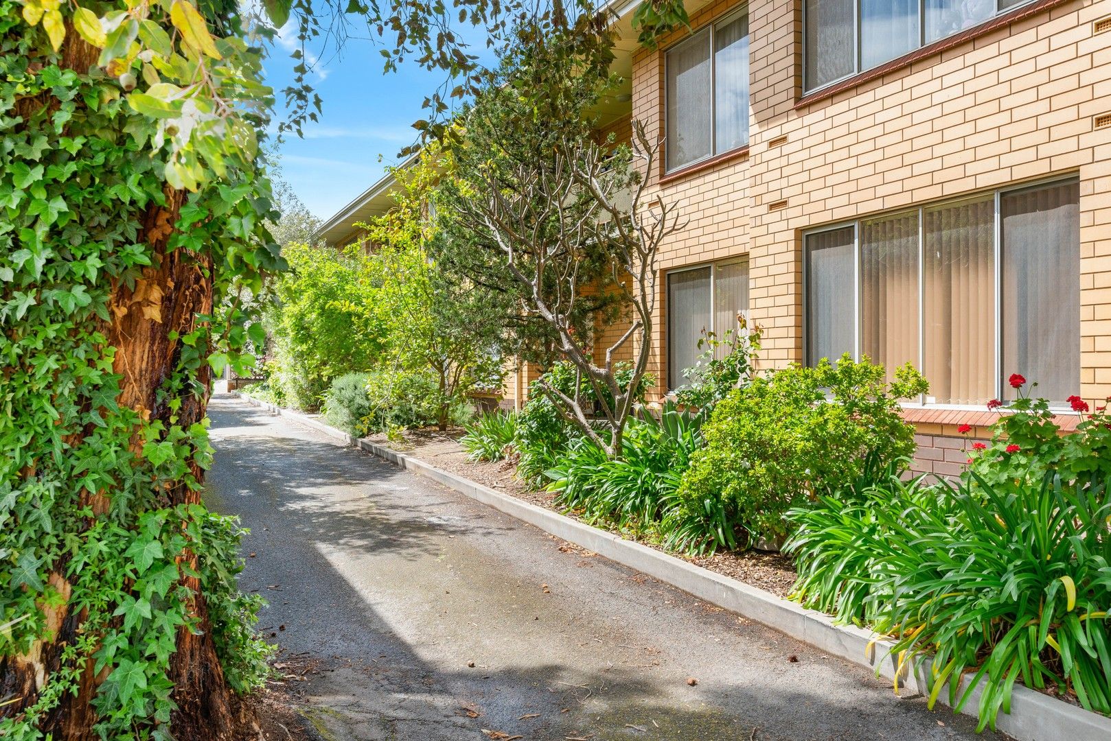 6/4 Collyer Court, Linden Park SA 5065, Image 0