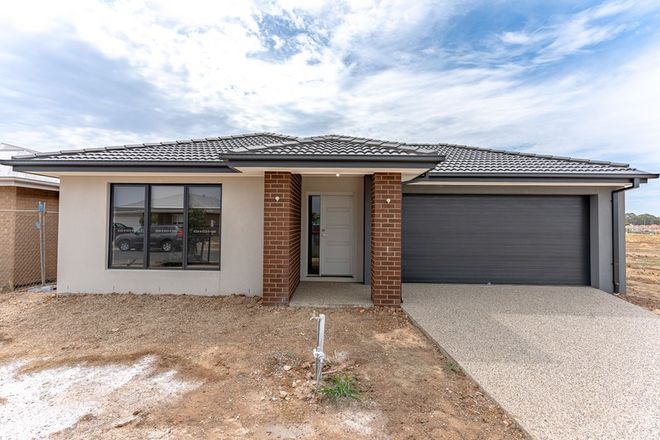 41 Daisy Street, Huntly, Vic 3551 - House for Rent 