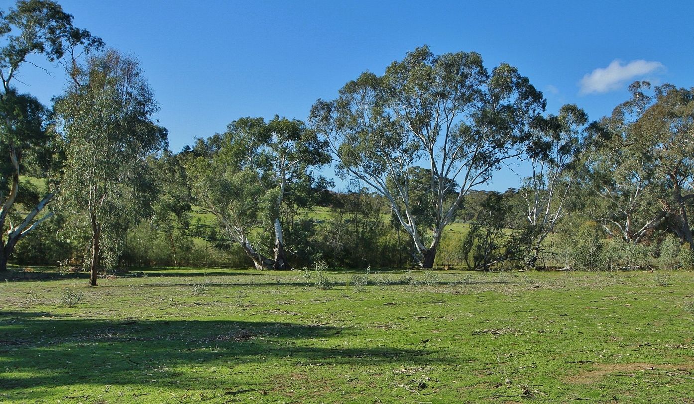 CA B15D, B15D1 Spring Flat Road, Heathcote VIC 3523, Image 2