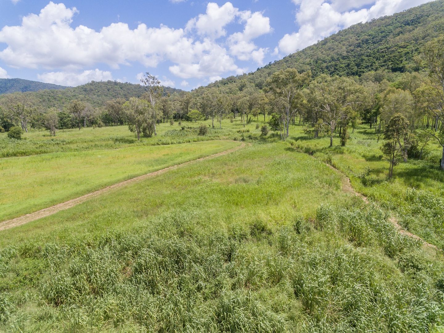 Lot 7 Sarina Homebush Road, Sunnyside QLD 4737, Image 2