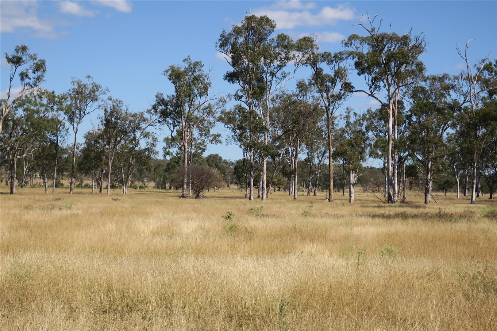 71 Fairy Bower Road, Nine Mile QLD 4702, Image 2