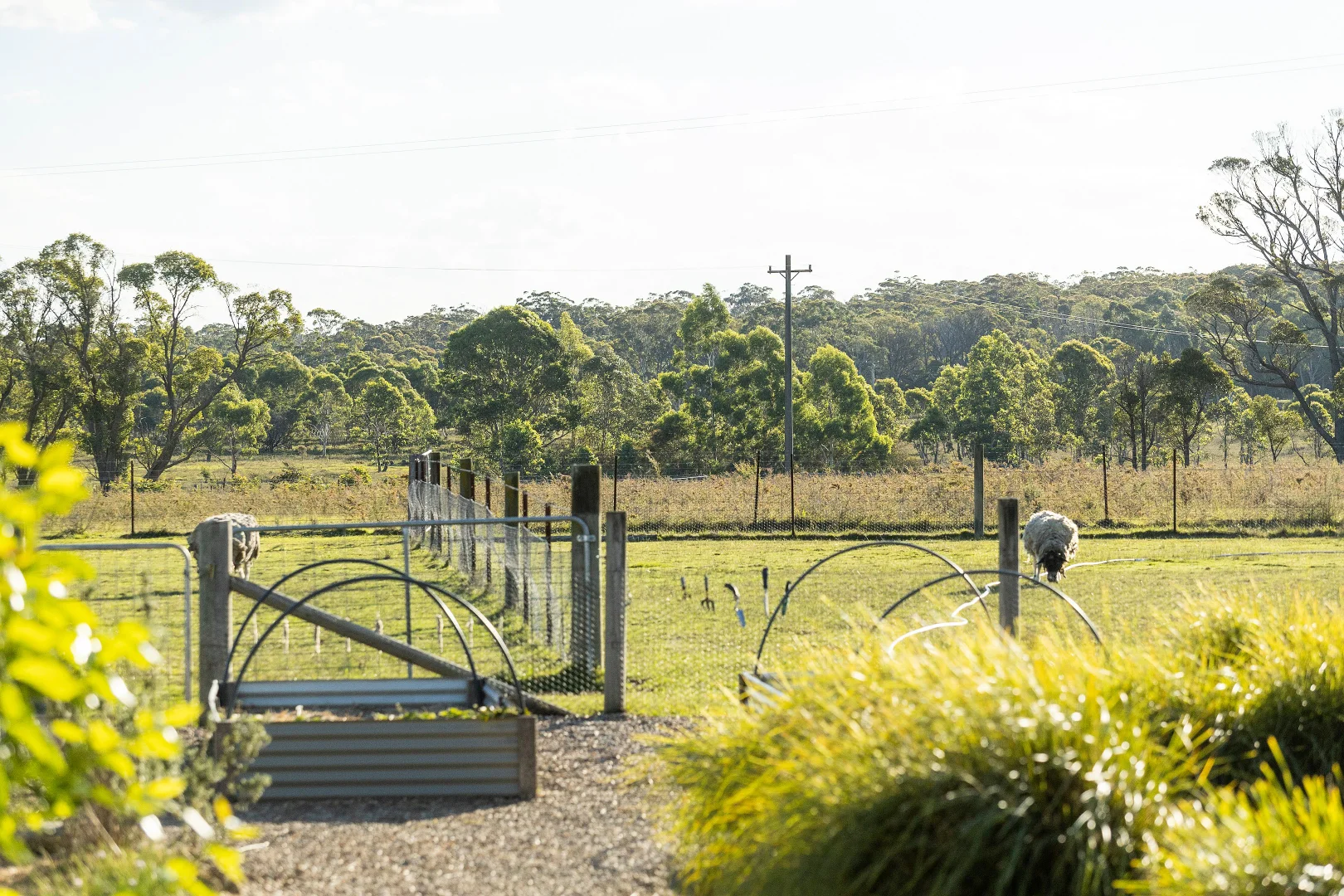 Additional image 30 of 122 Shale Lane, High Range NSW 2575