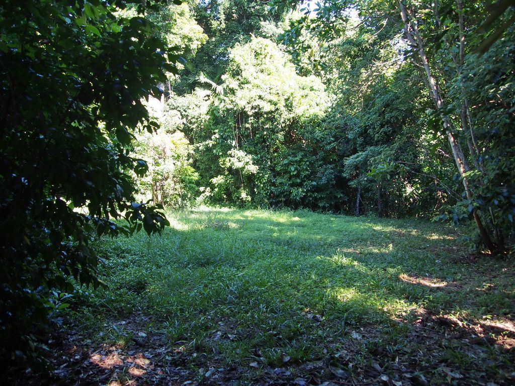 Lot 1 Holt Road, Mission Beach QLD 4852, Image 2