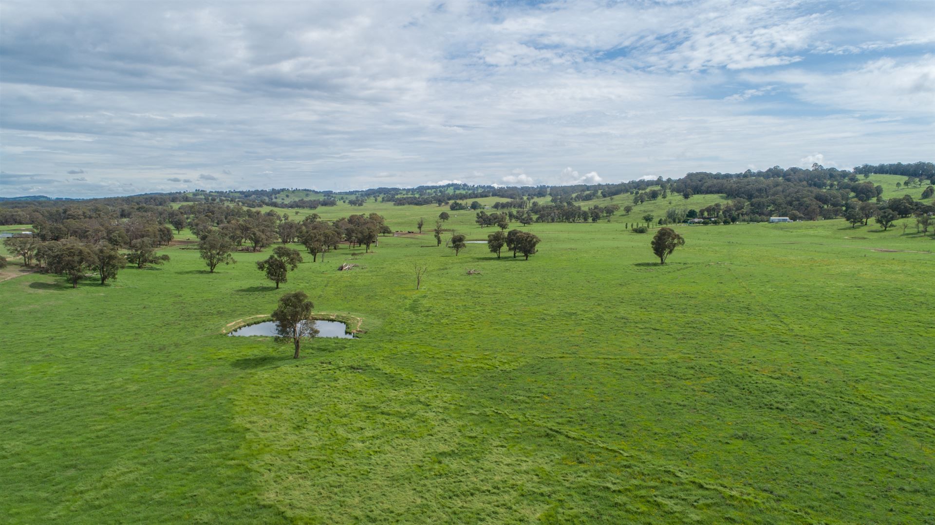 Walcha NSW 2354, Image 0