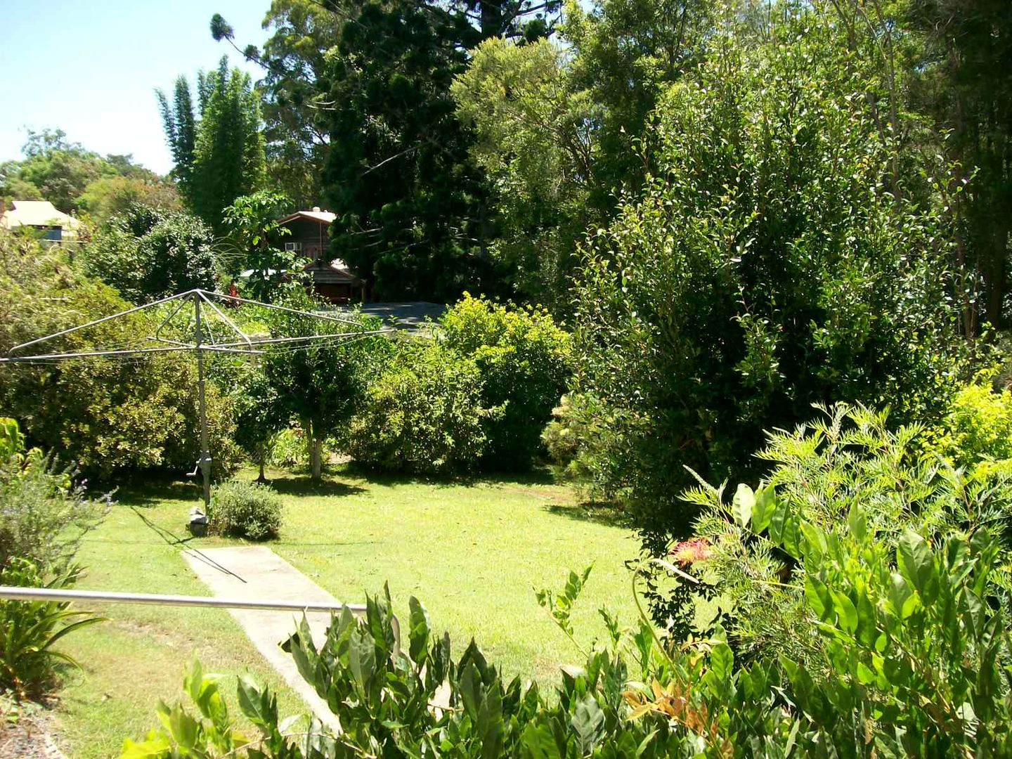 3 Park Street, Bellingen NSW 2454, Image 2