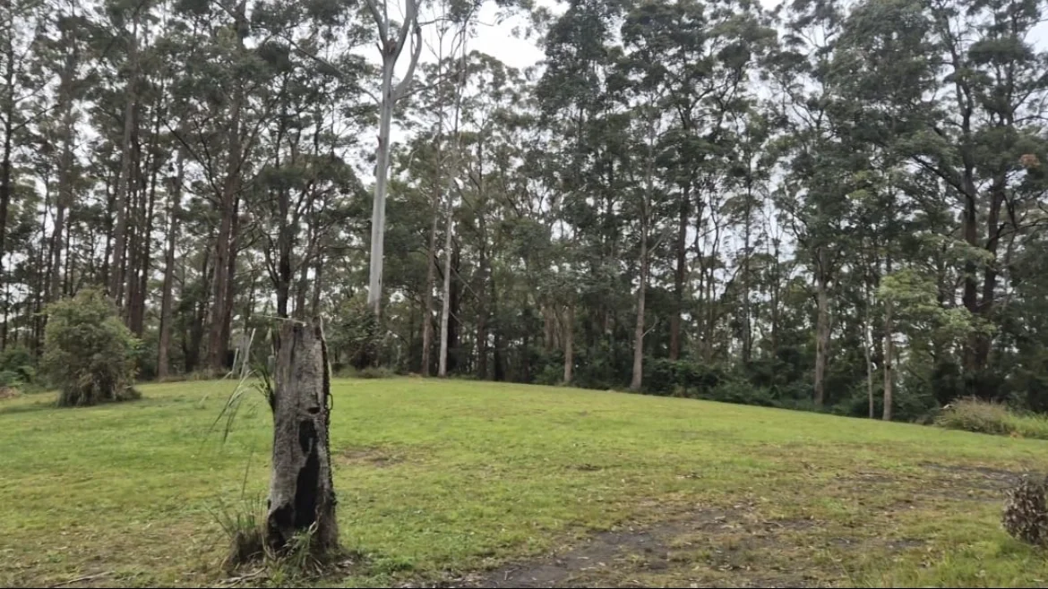 Additional image 11 of 1806 Gold Coast Springbrook Road, Springbrook QLD 4213