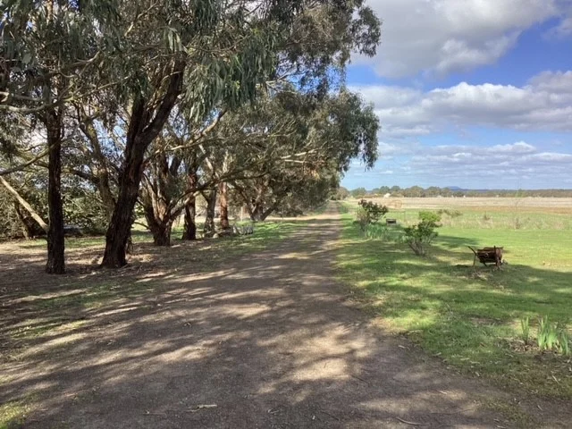 Image 33