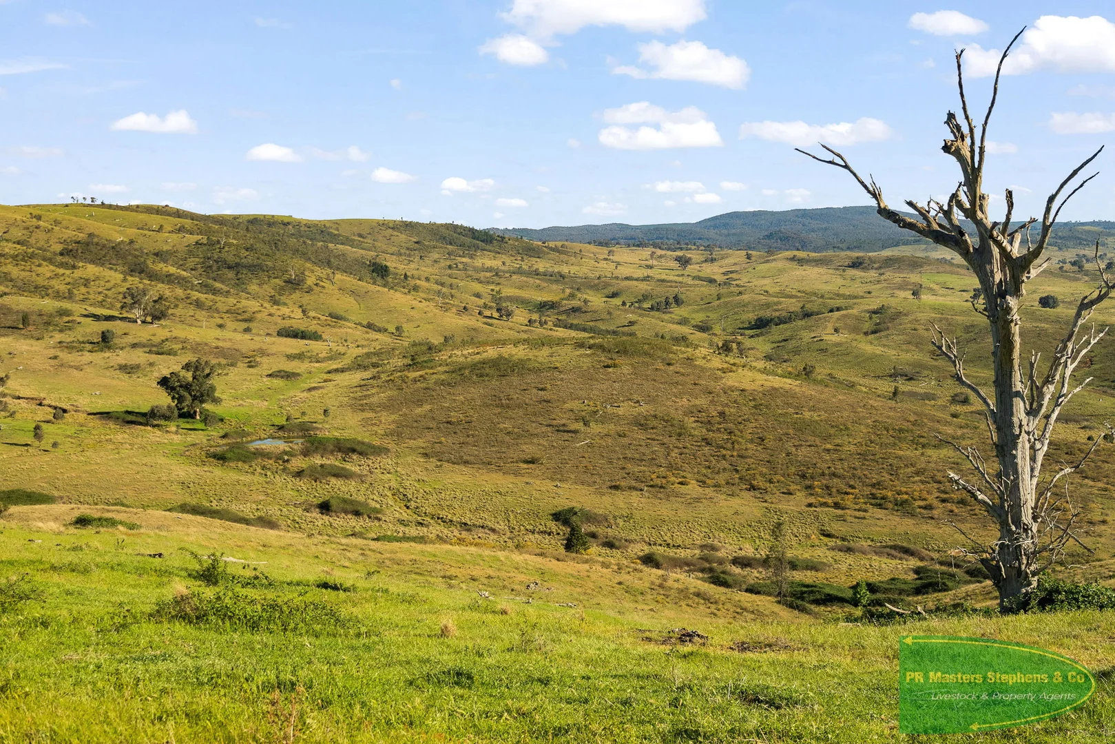 Additional image 26 of 351 Shepherds Creek Road, Euchareena NSW 2866