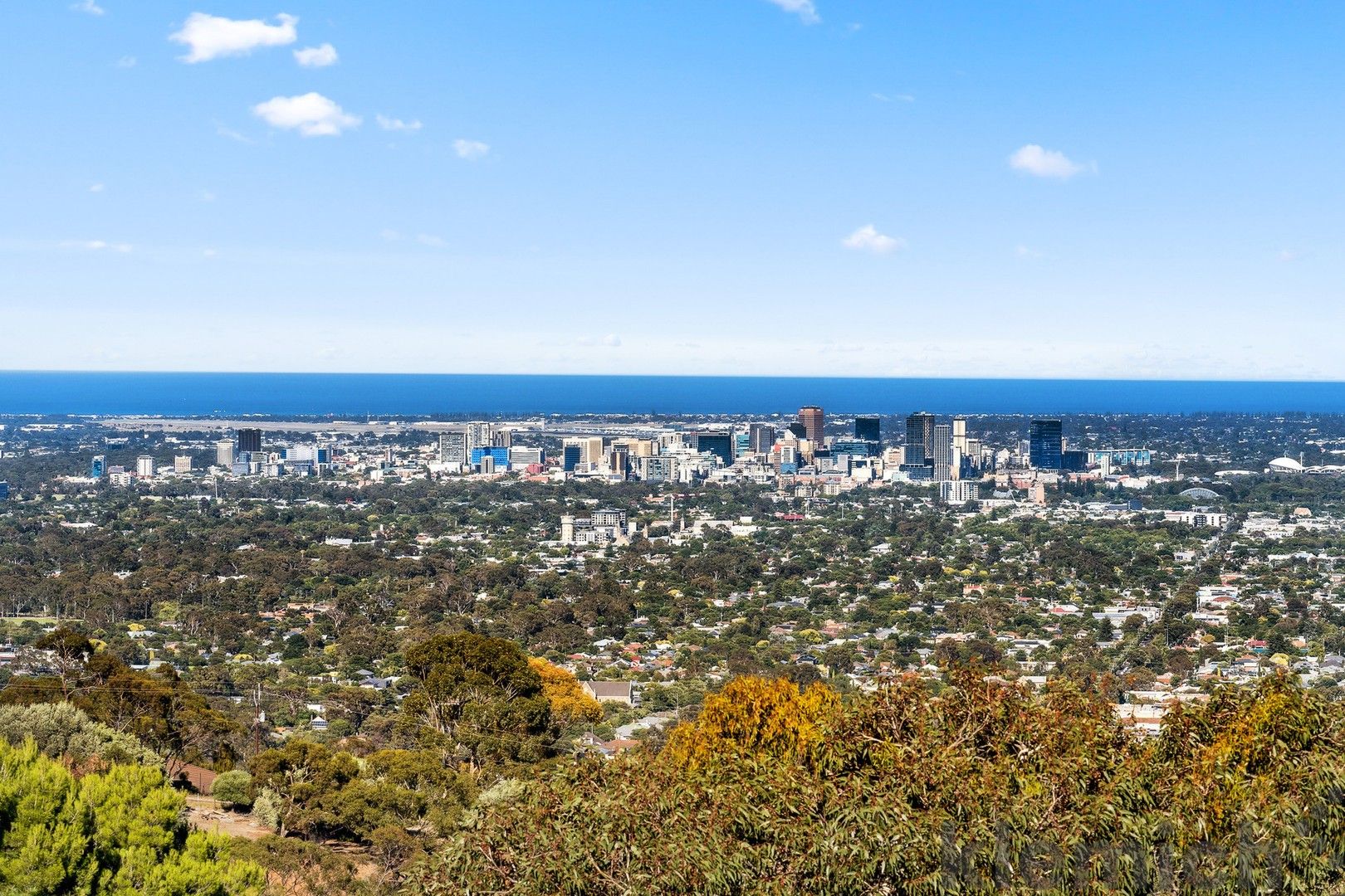 7 Knoll Crescent, Teringie SA 5072 Domain