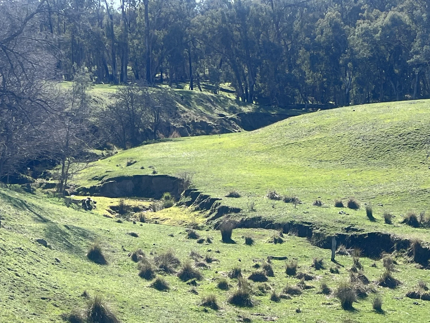 Image 13