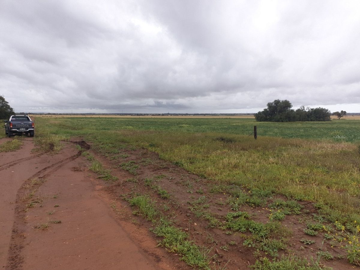 Lot 109 and  lot 111 Jericho Road, Napperby SA 5540, Image 2