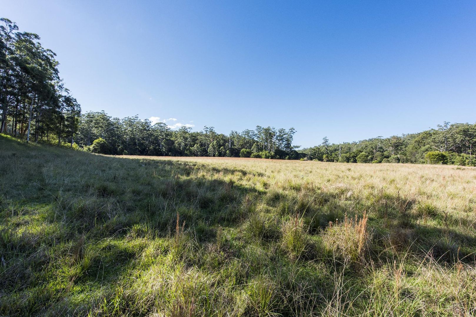 Part of 128 Upper Corindi Road, Upper Corindi NSW 2456, Image 1