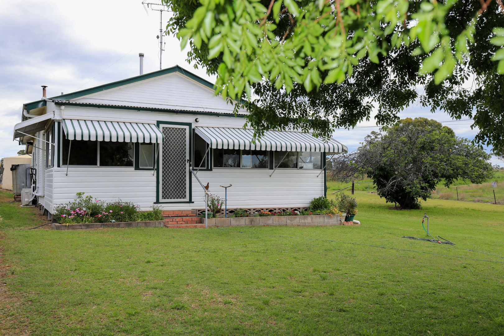 103 Inverell Street, Ashford NSW 2361, Image 1