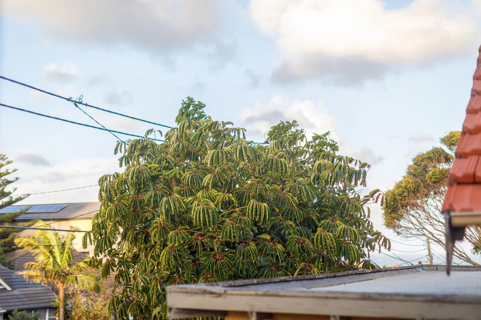 Additional image 22 of 5/69 Fletcher Street, Tamarama NSW 2026