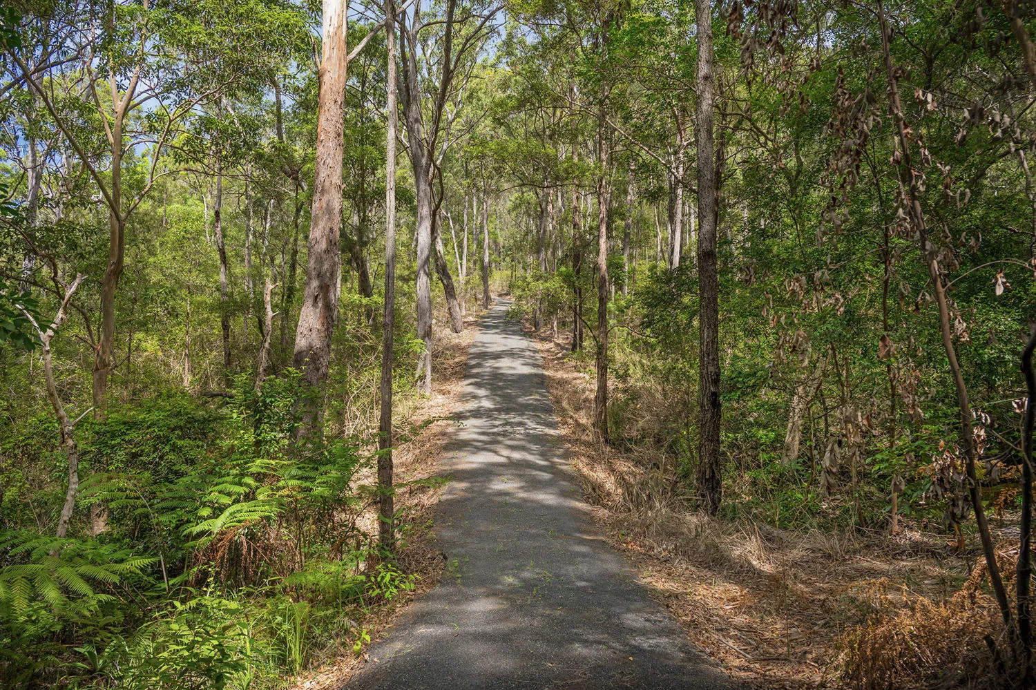 Image 15