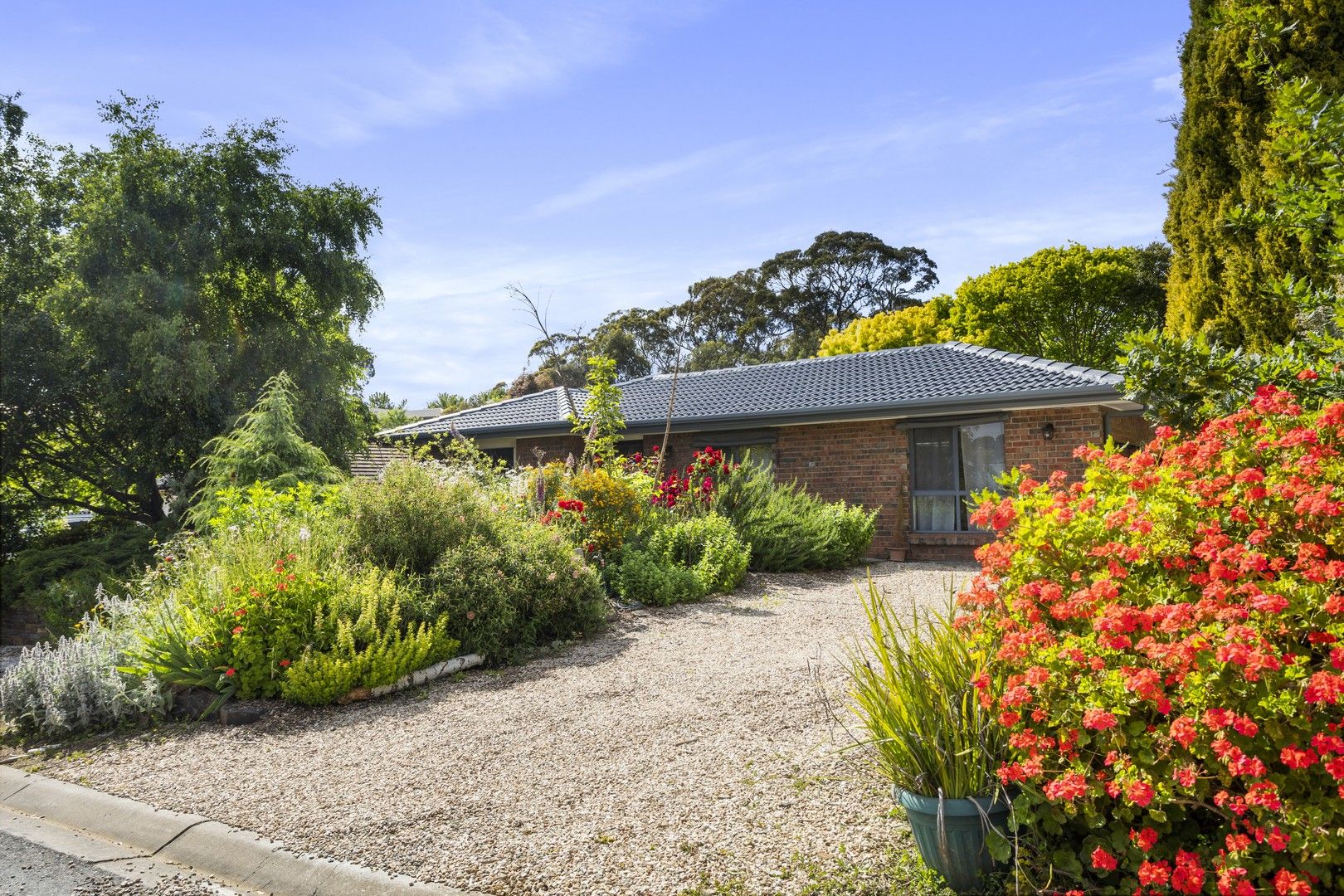 17 Elm Ct, Nairne SA 5252 House For Rent Domain