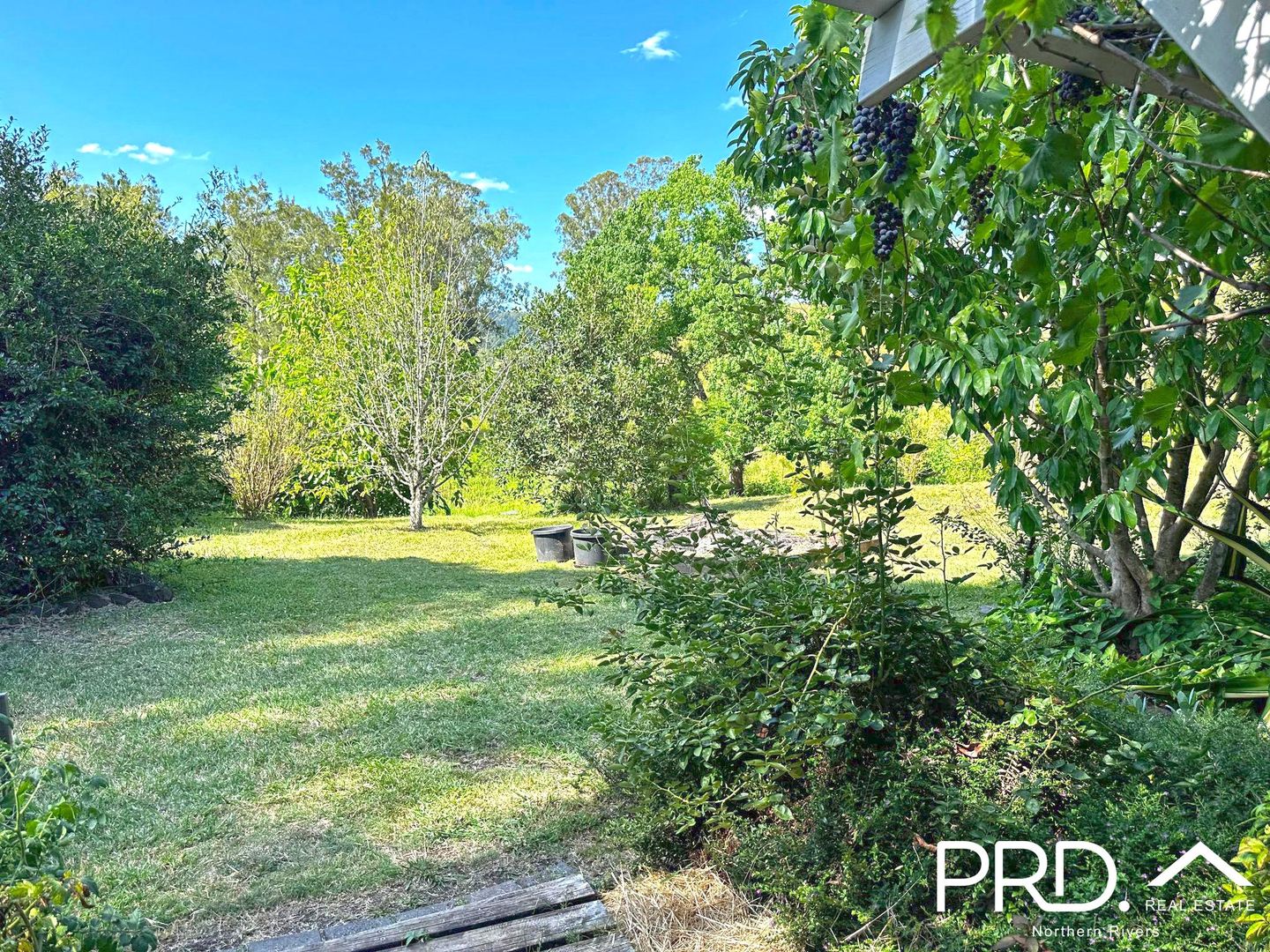 641 Iron Pot Creek Road, Kyogle NSW 2474 House For Rent Domain
