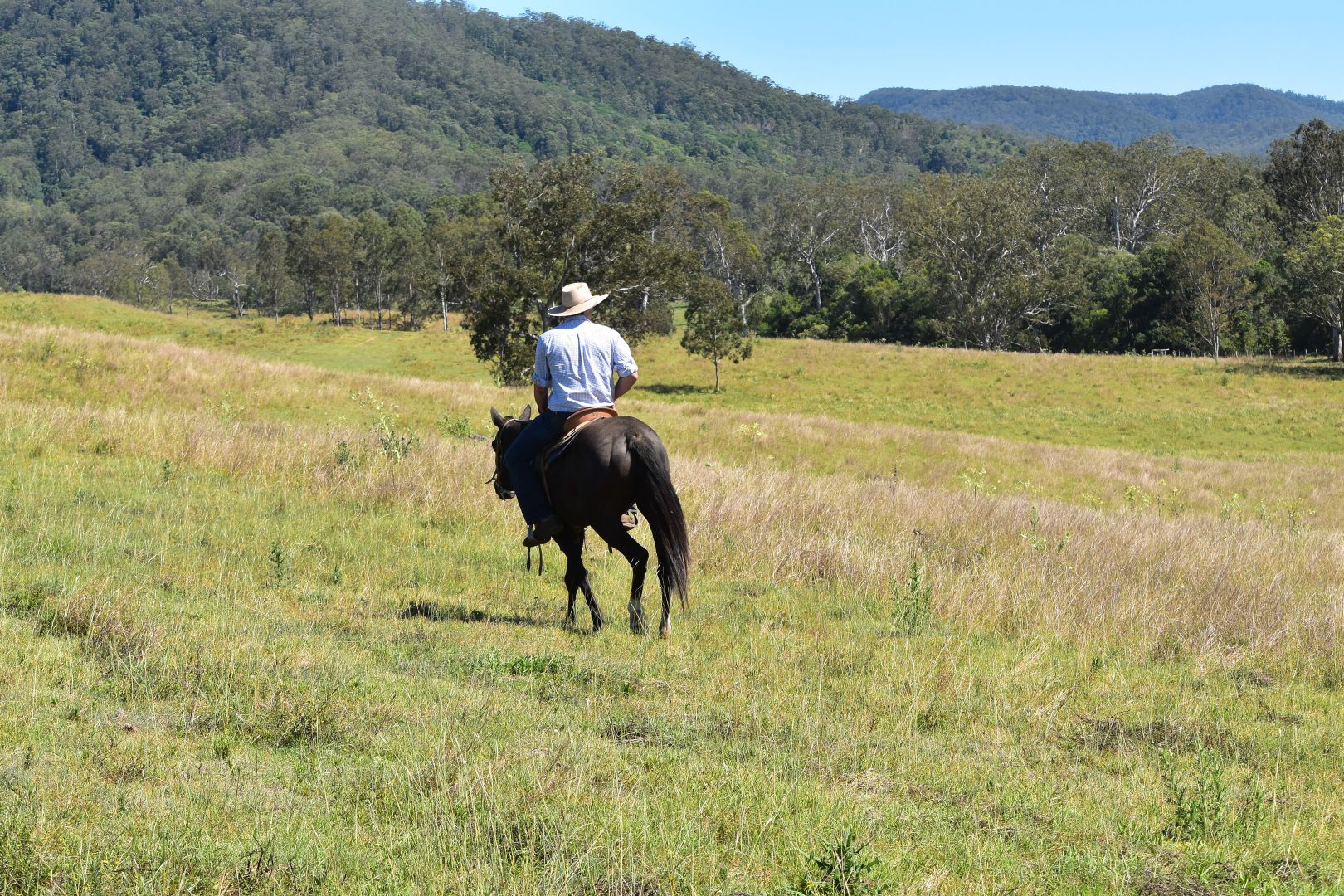 135C Bungabbee Road, Bungabbee NSW 2480, Image 2