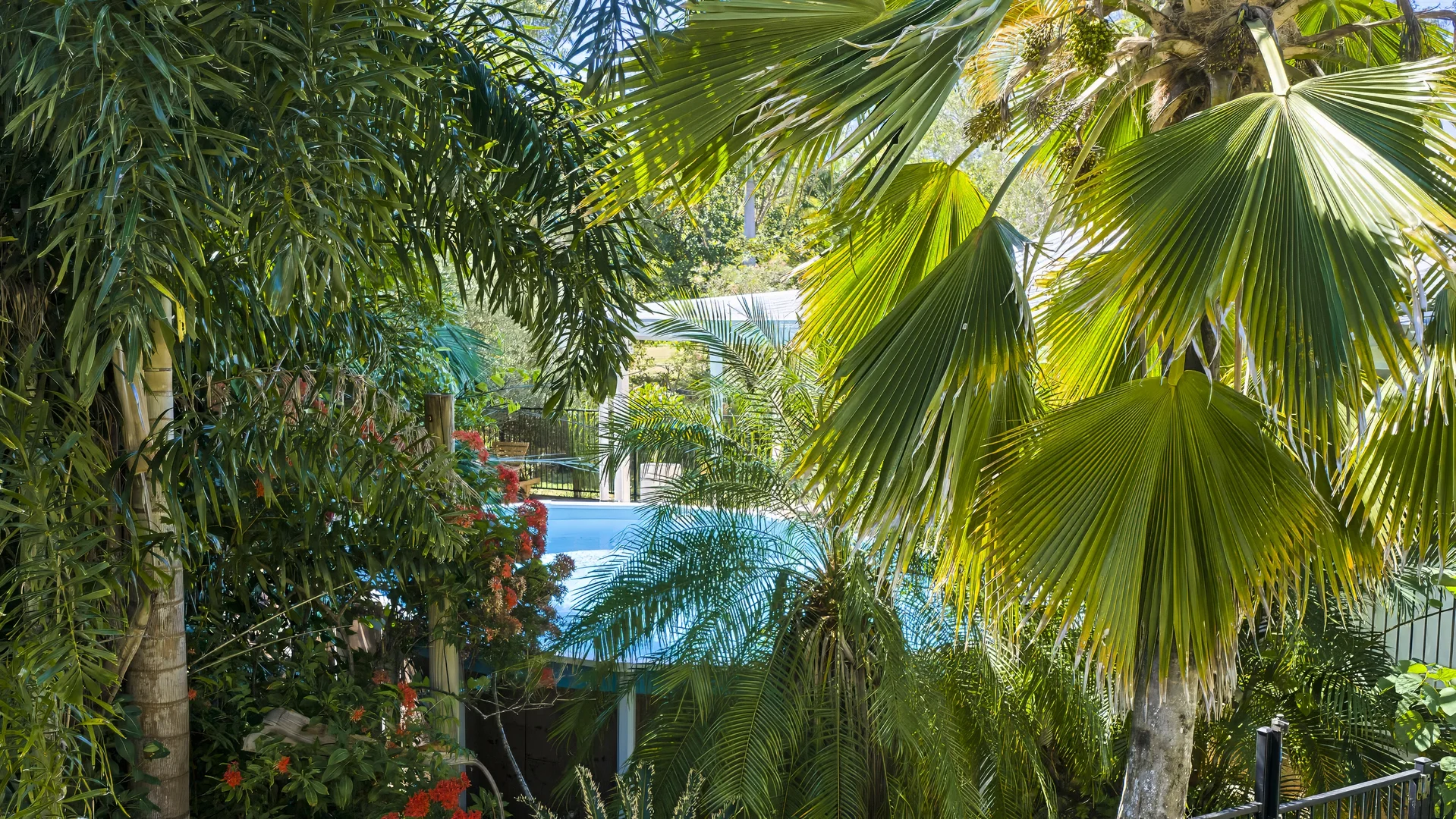 Image 15