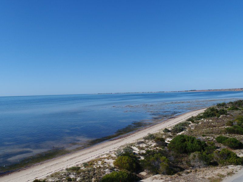 33 (Lot 104) Main Coast Road, Pine Point SA 5571, Image 0