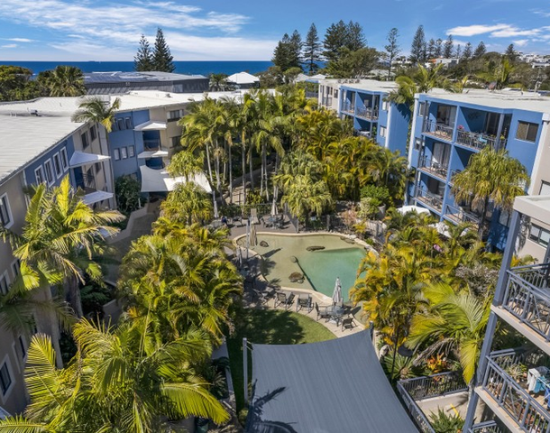 36/6 Beerburrum Street, Dicky Beach QLD 4551