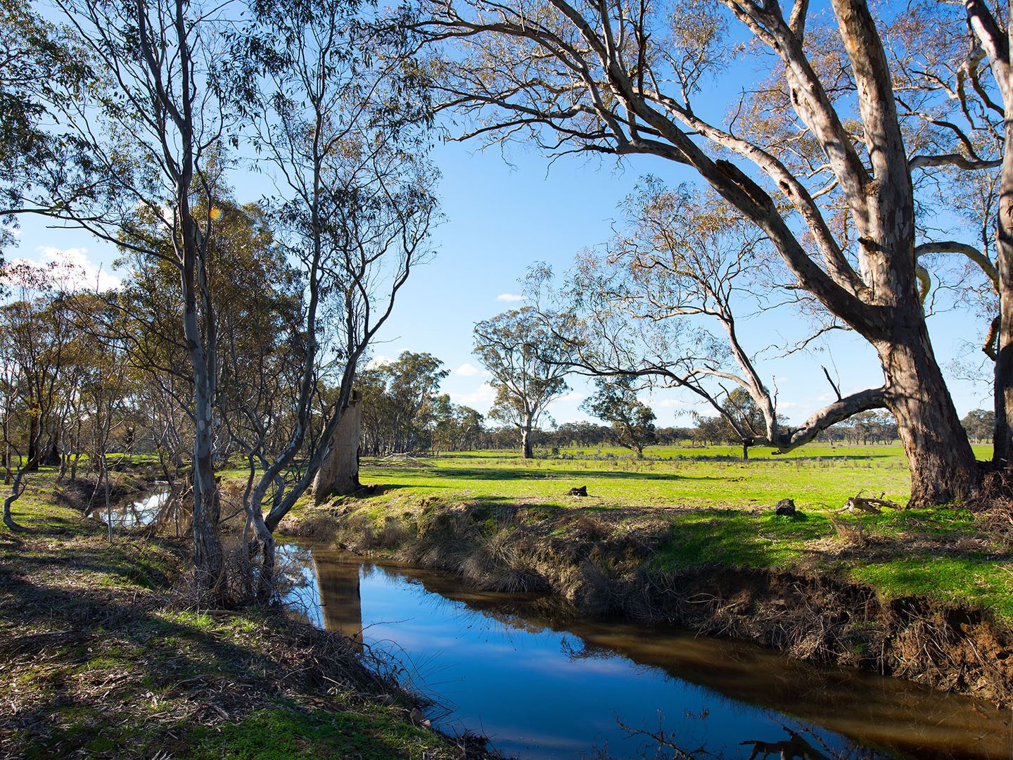 1 Sinclairs Lane, Walmer VIC 3463, Image 2