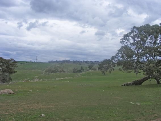 Lot 1 Range Road (off Steep Hill Rd), HARROGATE SA 5244, Image 1