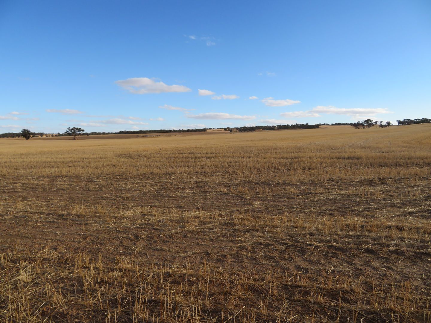 Lot 10352 Cunderdin-Quairading Road, Cunderdin WA 6407, Image 1