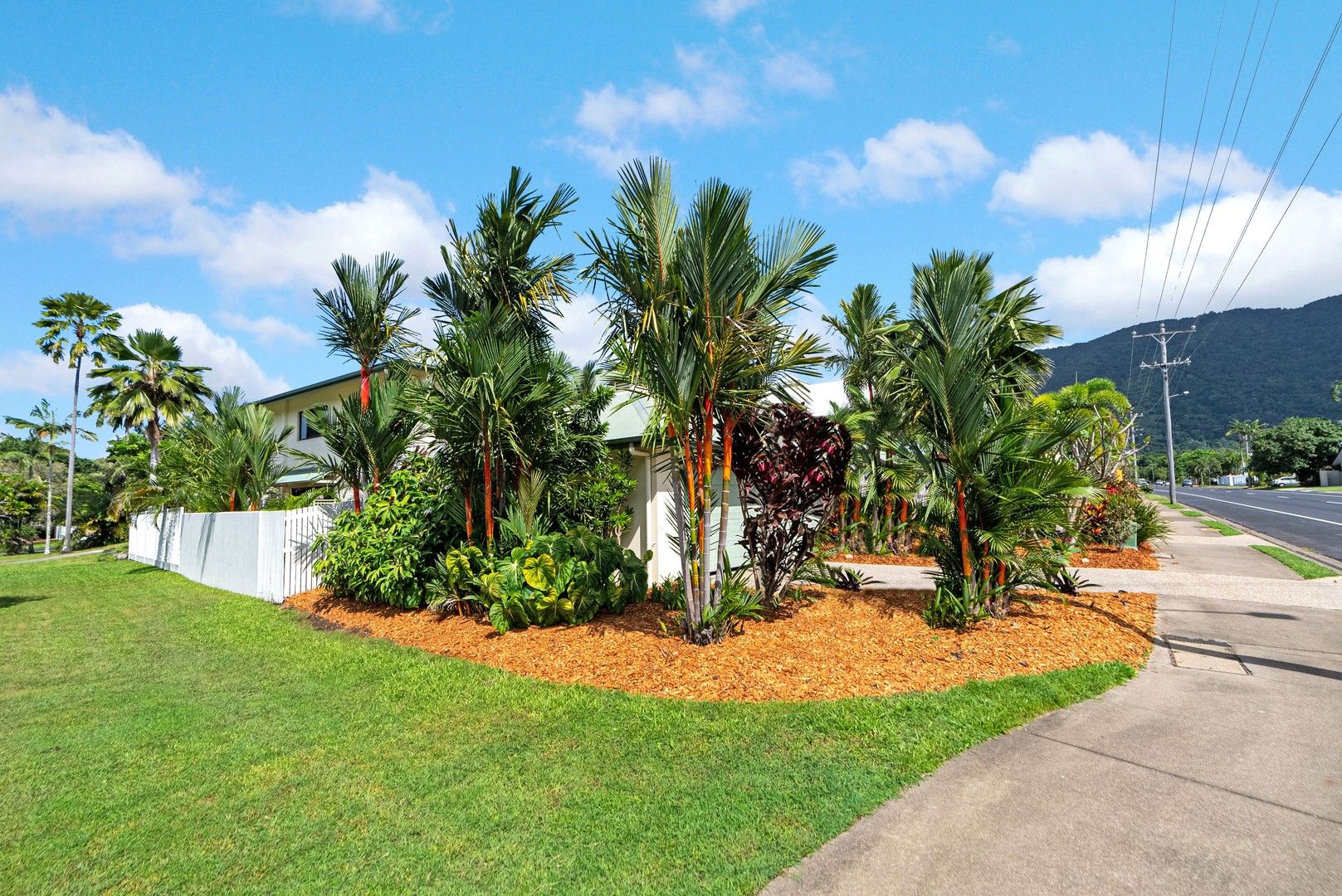 47 Cedar Road, Palm Cove QLD 4879, Image 1