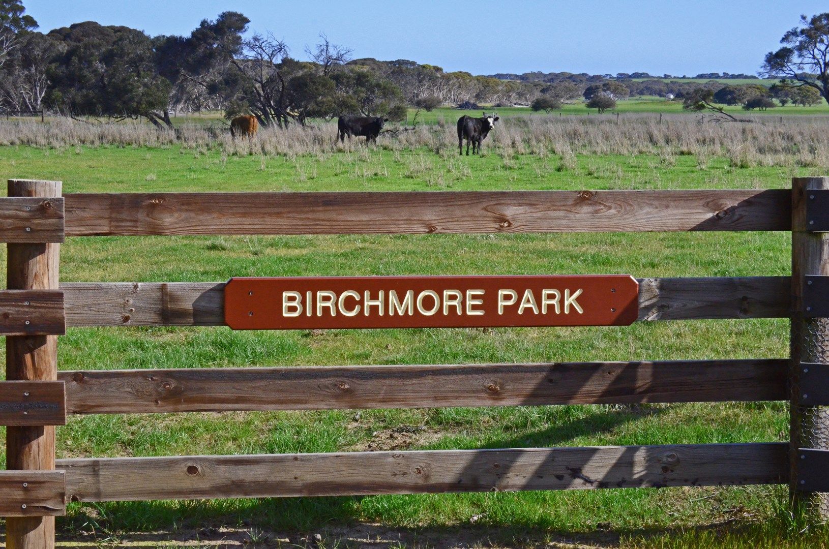 340 BIRCHMORE ROAD, Birchmore SA 5223, Image 0