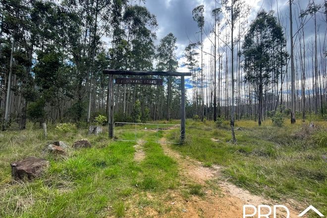 Picture of 4609 Paddys Flat Road, UPPER TOOLOOM NSW 2475